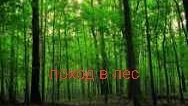 поход в лес я обкакался👍👍👍