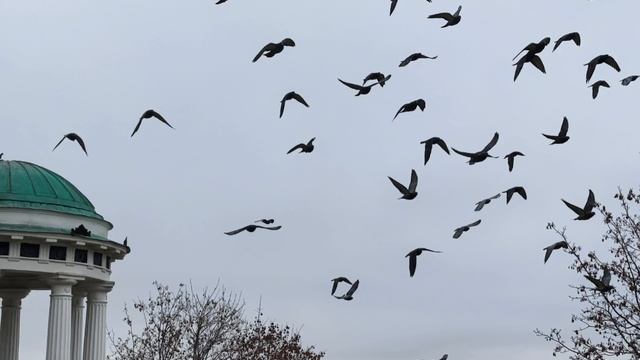 Ярославль смотреть онлайн