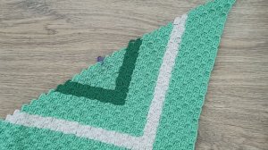 СП ПЛЕДОМАНИЯ С АННУШКОЙ ПОЛОЗНЯК   2-Й ОТЧЁТ   ПЛЕД ЦИРК