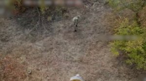 🔴ППОшник укровермахта залип😂🔴