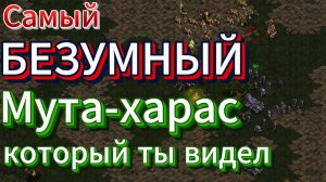 Этот зерг ВСЕГДА В АТАКЕ устраивая тотальный ЭКШН! Можно ли победить террана без Хайва в Старкрафт