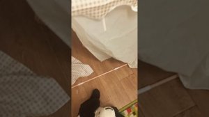 пять ночей с бабайкой