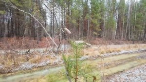 Как едет ВАЗ 2121 Нива на инжекторном моторе по бездорожью