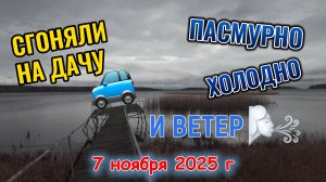 Сгоняли на дачу 100 км туда и 100 км обратно 7 ноября 2025 г