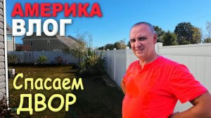 В шоке от налога на машину! Куда идут эти деньги？ Закупка для двора и дома ⧸ Спасаем двор в США Влог