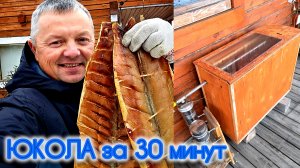 ЭЛЕКТРОСТАТИЧЕСКАЯ КОПТИЛЬНЯ ЮКОЛА ИЗ ЩУКИ