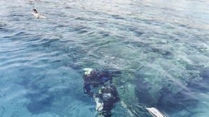 в Красном море