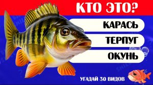 КТО ЭТО? УГАДАЙ 30 ОБИТАТЕЛЕЙ ВХОДНЫХ ПРОСТРАНСТВ 🐡🤔