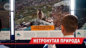 Уникальную передвижную фотовыставку открыли в Бодайбинском районе