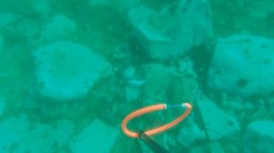 E78 Владивосток. Вятлина. За терпугом, окунем и лакедрой.