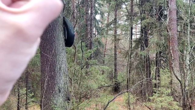Как я зарабатываю на хламе 6