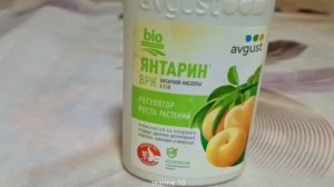 «Эликсир бодрости для растений Как Янтарин спасает от стресса и улучшает урожай»