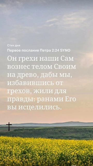 #слово на 8.11 #библия #Петра смотреть онлайн
