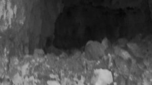 Штольня Часть 6 22.10.2025