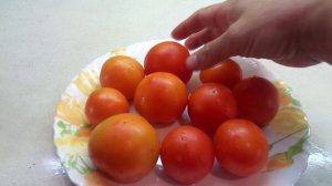 ТОМАТ ОЧАРОВАНИЕ  - СЛАДКИЕ АПЕЛЬСИНКИ В ВАШЕМ ОГОРОДЕ! №70 в моем каталоге. Обзор сорта.