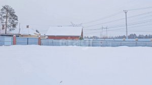 4864272 Сосновый бор