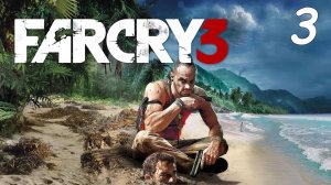 Far Cry 3  3