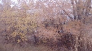 По Волгограду на электричке. От Мамаева кургана до дворца спорта