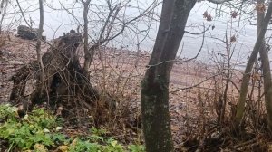 В поисках "человека" и Энергии природы