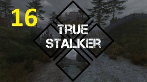 Прохождение S.T.A.L.K.E.R True Stalker. Часть 16