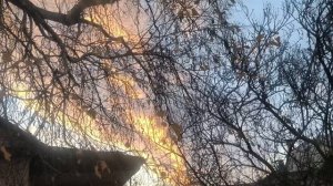 Ноябрьское небо