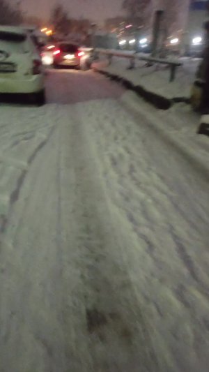 Ищим абрикос в Сибири, в ноябре❄️🌨️