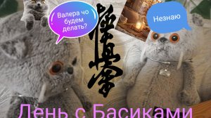 День с Басиками 2 часть