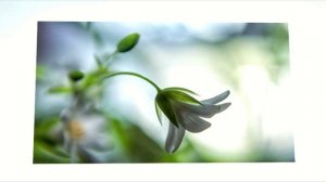 Jean Mare - Sine Cascading (Sunset Chill Mix)