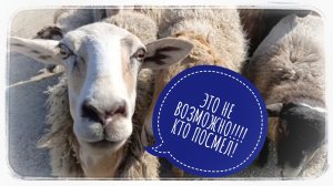 Иду на работу по улице, и тут увидел такое🤣