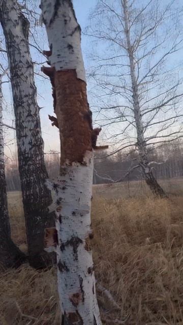 "Быть проще" #стихиожизни #современнаяпоэзия