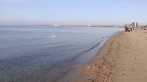 Пляж Анапа 7 Ноября 2025 года. Репортаж Светланы Тихоновы.