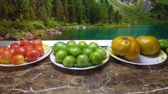 ТОМАТ ФИОНА ЗЕЛЕНАЯ. №416 в моем каталоге.  ДЕГУСТАЦИЯ СОРТА.