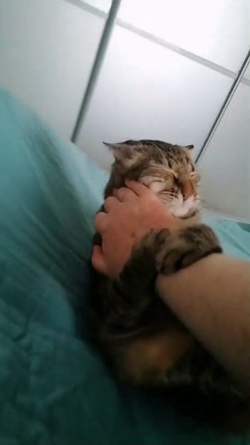 Есть идея! :)