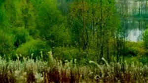 Придуманная - И.Ведерников