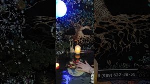 Таро-расклад