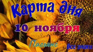 Карта дня🍁 10 ноября 2025🌾 🌞Пасьянс. Тайм-код в описании🦢