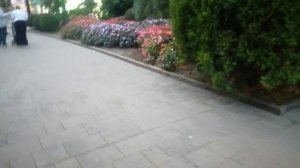 Гуляем по Сочи