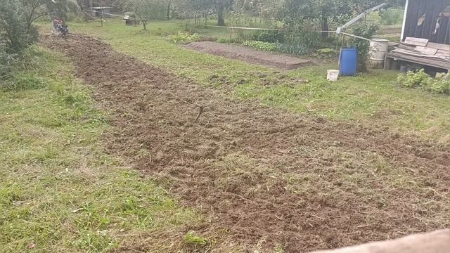 собрал урожайный урожай с дачи и вспахал по осени фрезами пару соток огорода после весенней целины смотреть онлайн