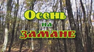 Осень на горе Замана... Горный Крым... 30.10.2025