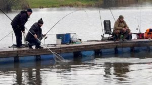 Поимки форели !!!