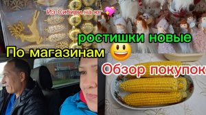 08-11-2025 Переезд из Сибири на юг 💖/Наслаждаемся южной жизнью ☀️/Ездили в центр/Обзор покупок/Дом/