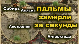 Сибирь. Аляска. Пальмы замёрзли за секунды