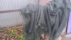 24.10.25гг. Снимаю  ПЛЁНКУ с Теплицы!!!👍👍👍🙂