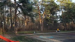 251108 Река Ока Прогулка по осеннему парку Ботаника Заводской район город Орёл осень в Орле сосны