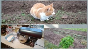 В гостях у мамы❤Компресс реально помогает 👍