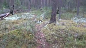 Золотой октябрь #10