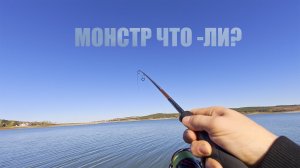 ВОДОХРАНИЛИЩЕ 2.0 РАЗНОРЫБИЦА.КОРОТКО О МОЕЙ РЫБАЛКЕ