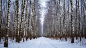 Артём Гельман - Признание