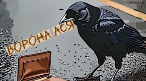 Ворона Ася нашла кошелёк 👛