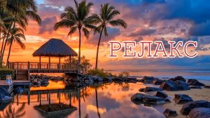 Шум моря Пение тропических птиц - 45 минут релаксации.